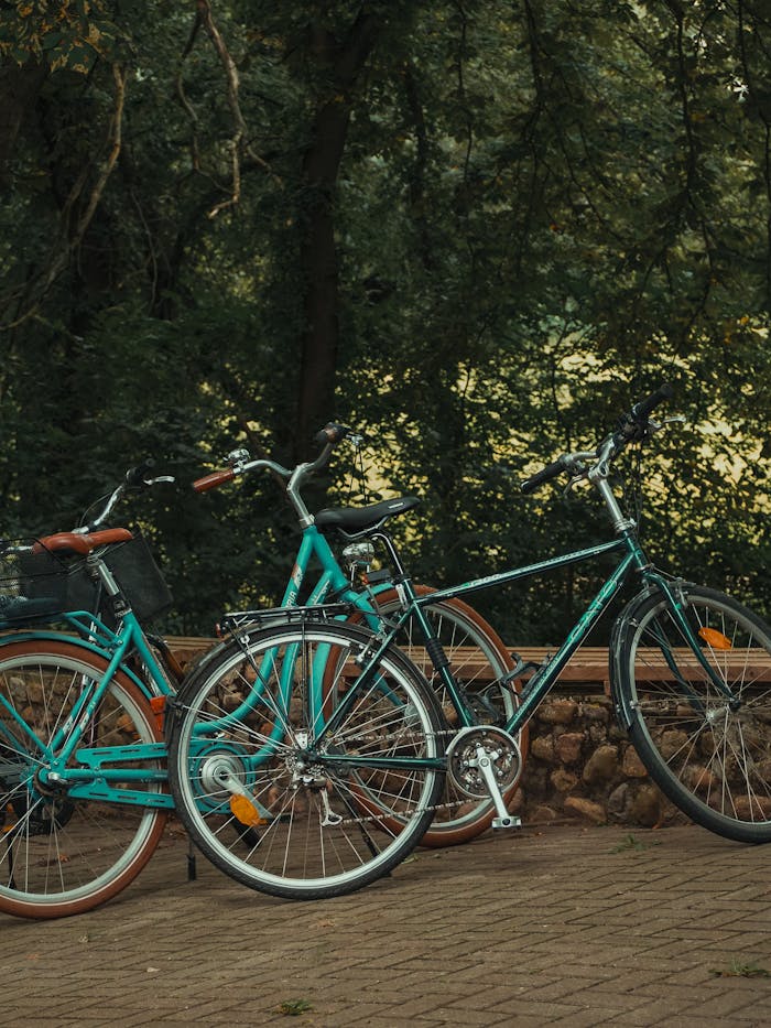 Two vibrant bicycles parked by a stone bench in a tranquil park setting.