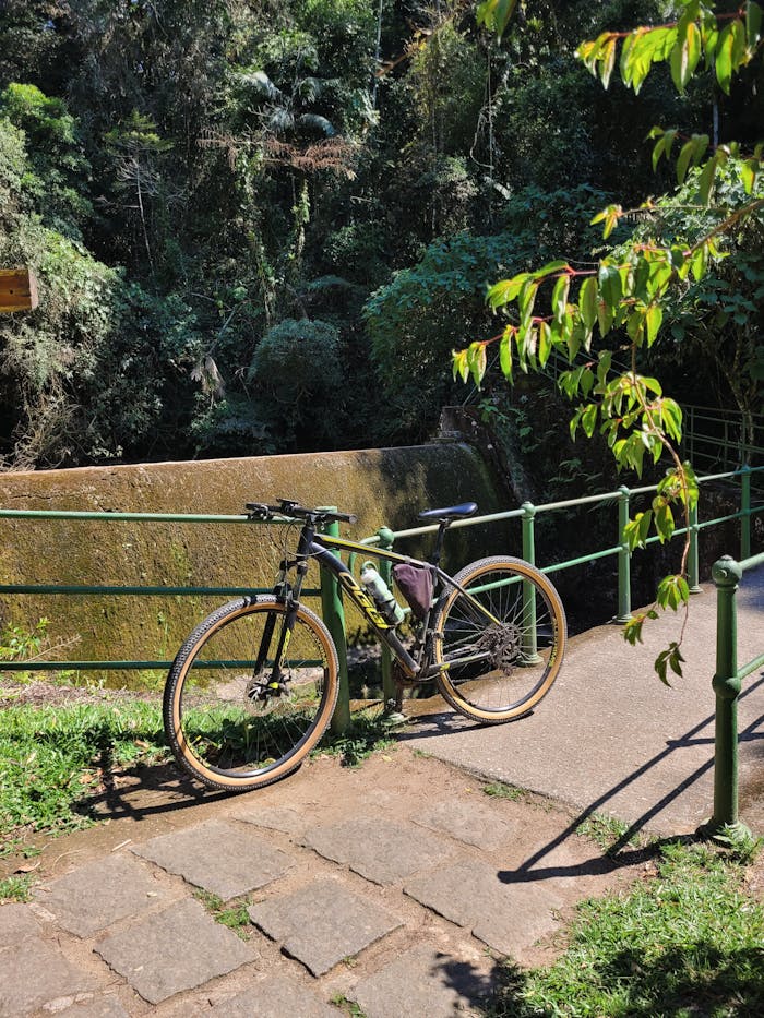 A mountain bike rests against a railing in a vibrant green outdoor park area.