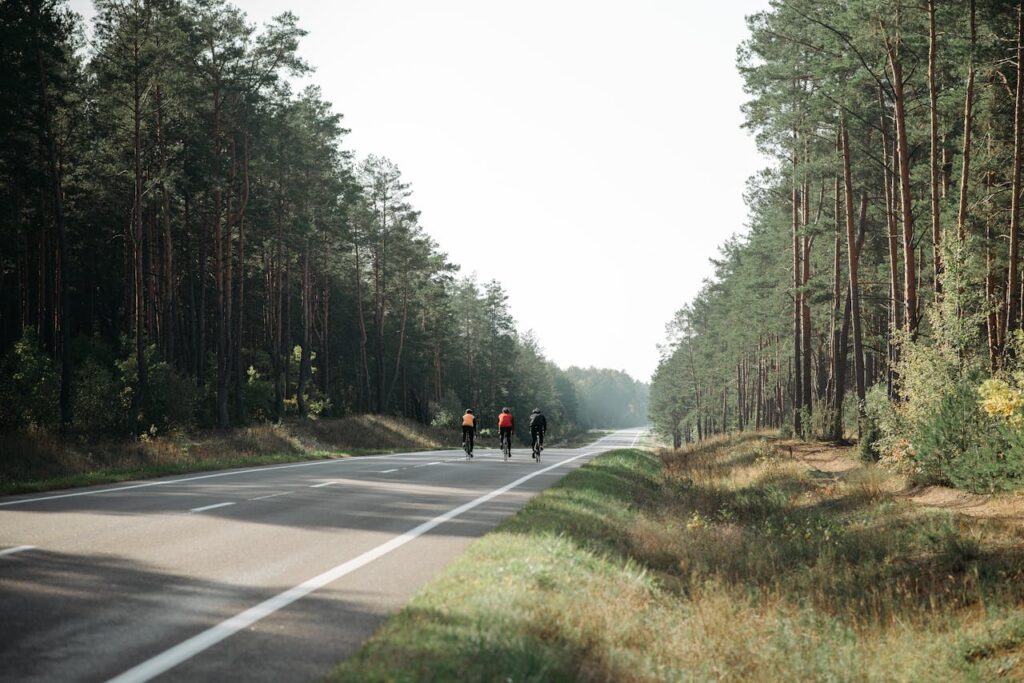 pexels-photo-5807680 Three cyclists biking along a scenic road flanked by tall trees, enjoying a peaceful ride.